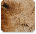 Textura 09
